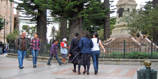 IMG_4789-2_550x277
