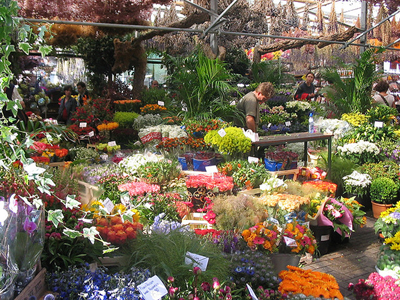 FLICKR_Amsterdam_FlowerMarket_Hernandez_400x300