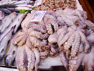 FLICKR_Italy_Octopus_h-bomb_400x300