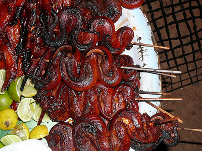 Cook Snake