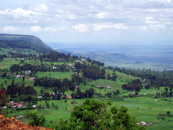 Kenya Highlands