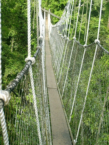Kakum National Park