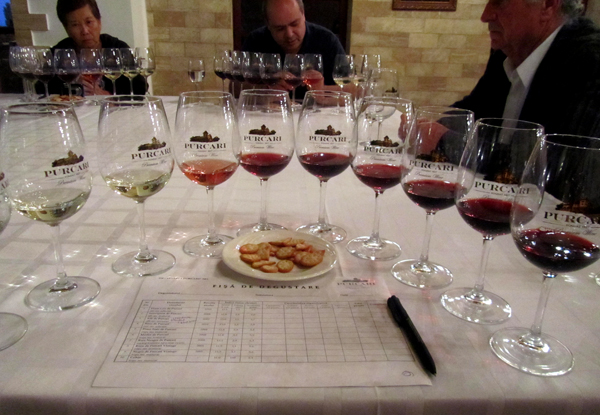 Moldova wine tasting Purcari wines