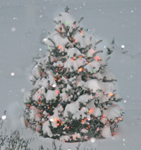 Christmas Tree in the SnowChristmas_2009__200x212